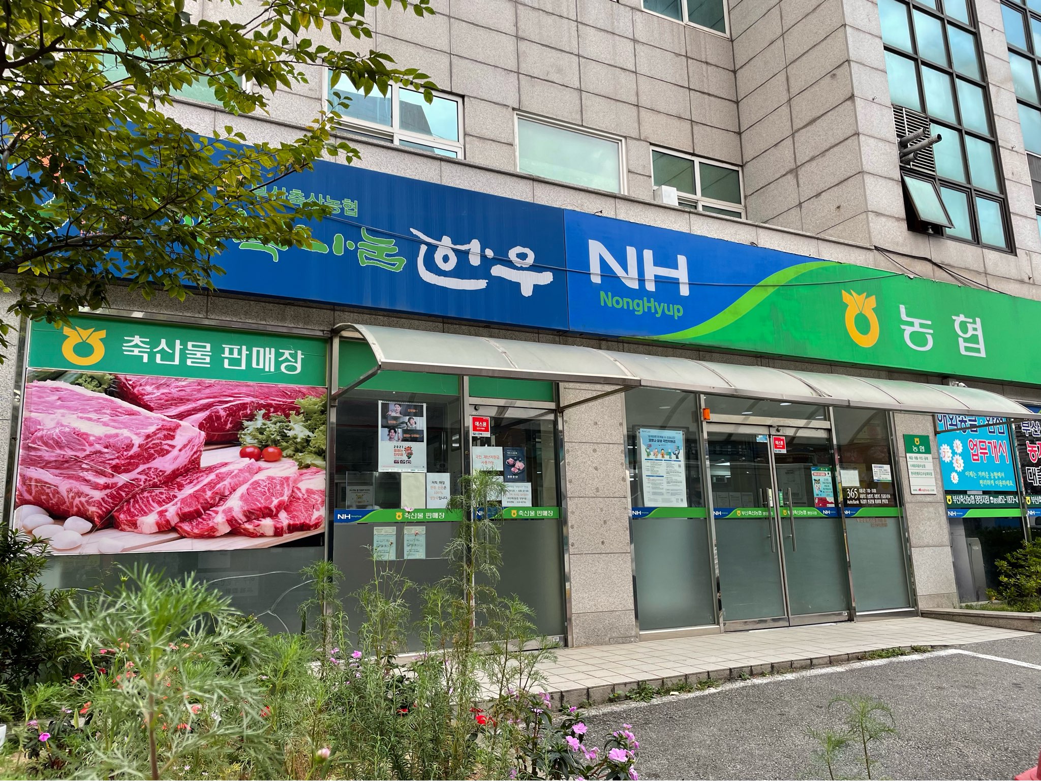 부산축산농협 양정지점_매장이미지_3