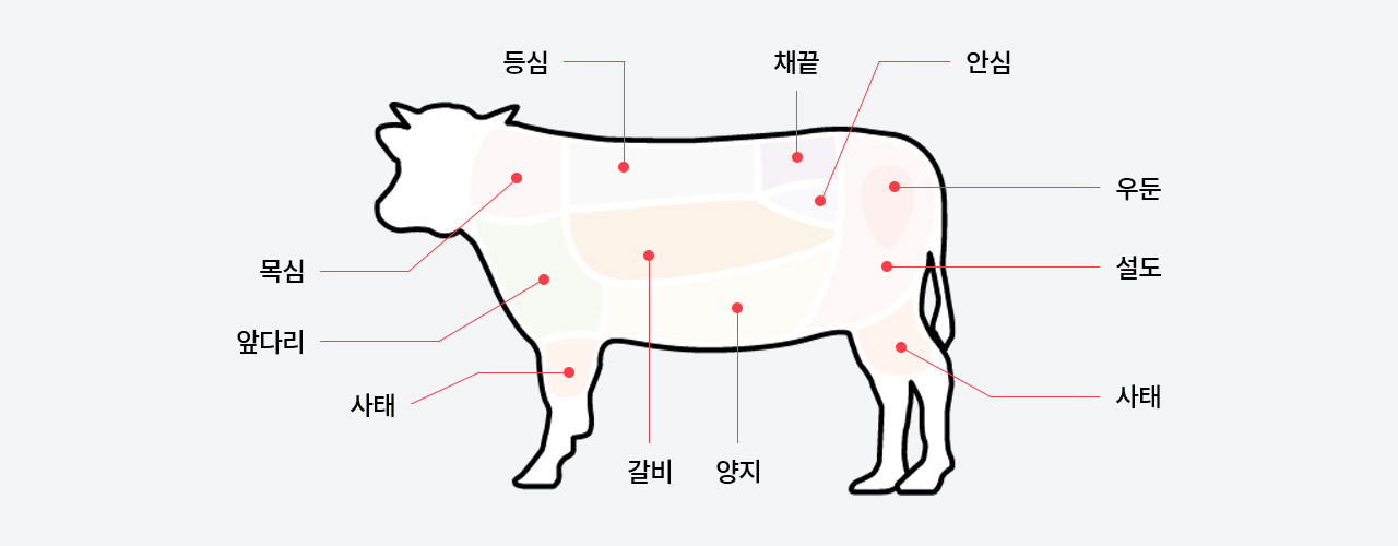 부위별 이름