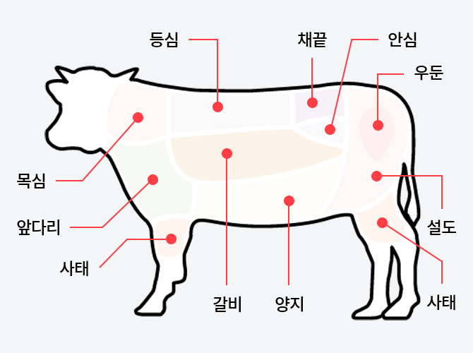 부위별 이름